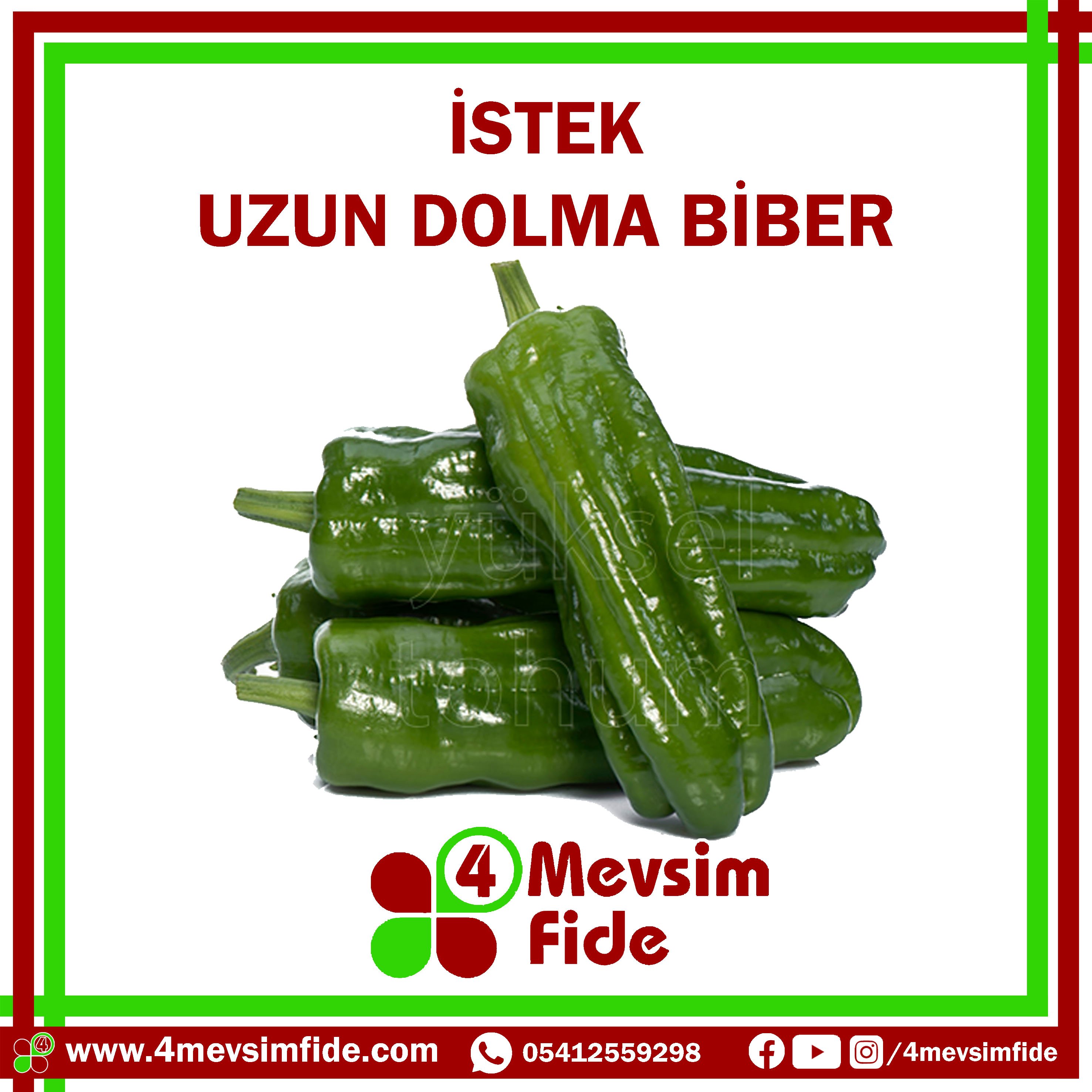 İstek F1 Biber